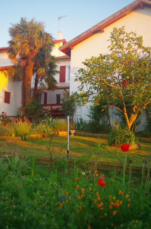 Maison Elizondoa - Chambres, Restaurant Et Spa Masparraute Extérieur photo